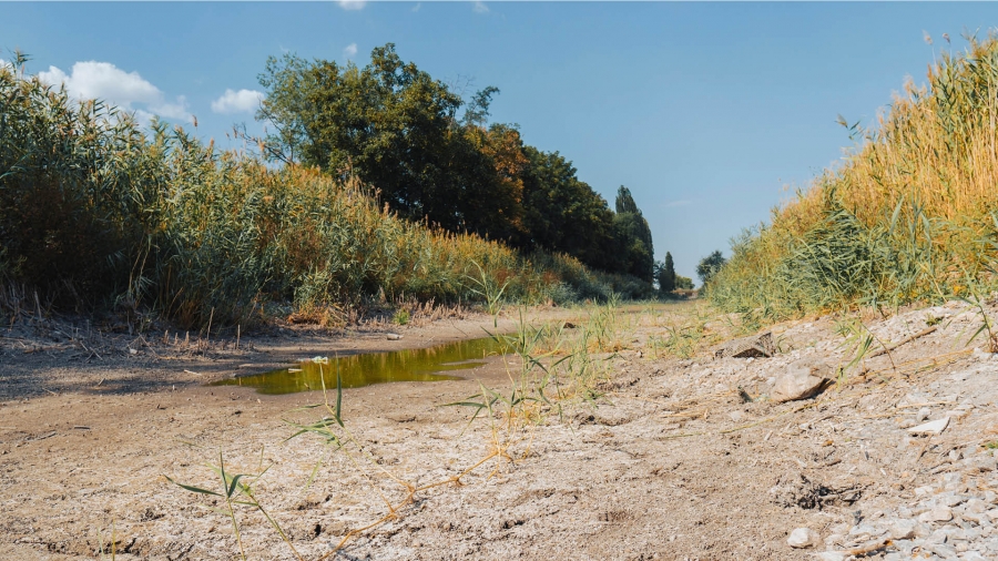 Allgemeinverfügung tritt am 22.05.2025 in Kraft Foto: Adobe.stock.com - Oleksandr Baranov